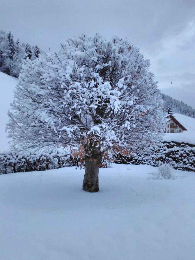 Apartmán Haus Kieler Schladming Exteriér fotografie